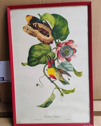 Stampa Vintage "Cabézon Élégant"