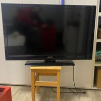 Televisore-Monitor