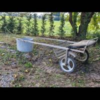 calesse per cavallo 