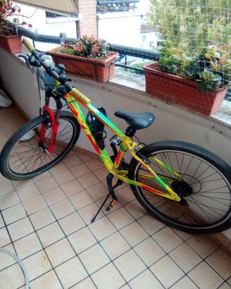Mountain bike 