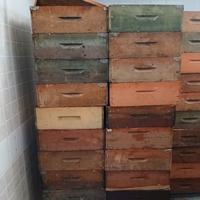 Melari con telaini costruiti