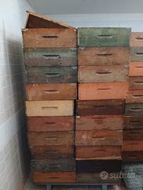 Melari con telaini costruiti