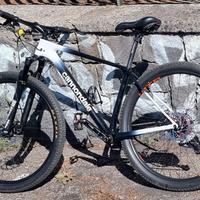 Mtb 29 carbonio