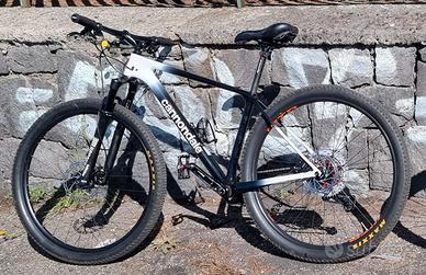Mtb 29 carbonio