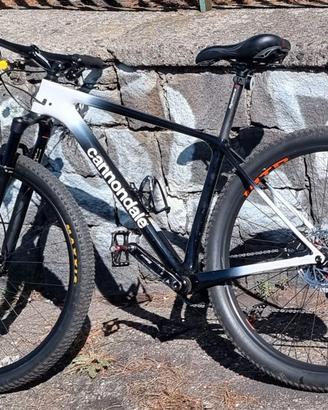 Mtb 29 carbonio