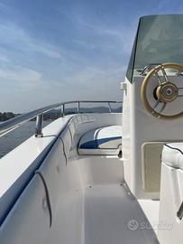 Barca a motore 40/60 senza patente Evinrude