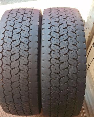 pneumatici per rimorchi Michelin 