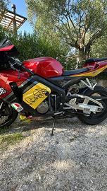 CBR 600 RR