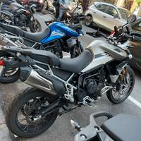 Tiger 900 Pro Rally Agosto 2023 km 1100