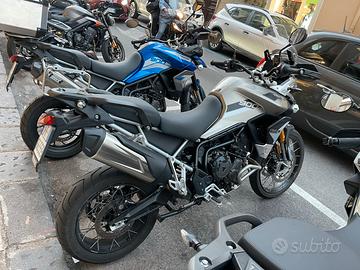 Tiger 900 Pro Rally Agosto 2023 km 1100