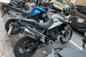 Tiger 900 Pro Rally Agosto 2023 km 1100