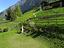 Immagine 18