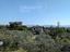 Immagine 25
