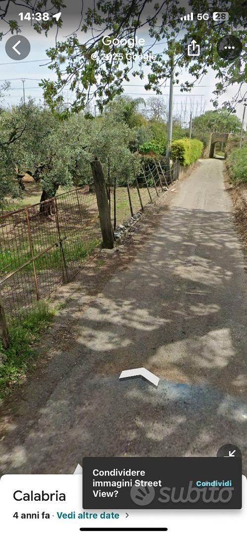 Terreno agricolo uliveto - Vista 2