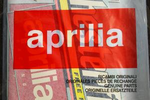 Decalcomanie Aprilia RS 250 Chesterfield 1995 e 19