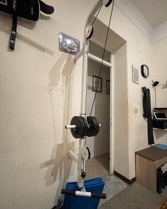 Attrezzo per bicipiti da studio medico