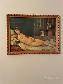 Quadro Venere di Urbino