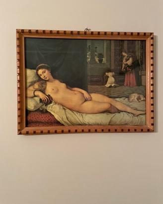 Quadro Venere di Urbino