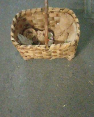 Cesta vimini