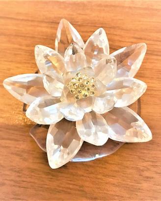 Swarovski, ninfea WATERLILY LARGE