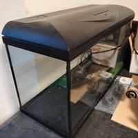 Acquario 80 litri