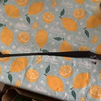 tergicristalli peugeot 308