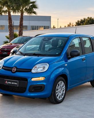 Fiat Panda Pandina 1.0 FireFly 65 CV Hybrid Icon
