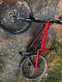 Intense tracer carbonio 200mm