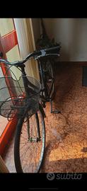 do via bici da passeggio olandese 