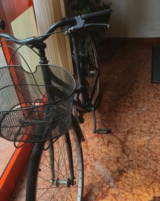 do via bici da passeggio olandese 