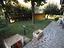 Immagine 25