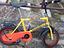 Immagine 2
