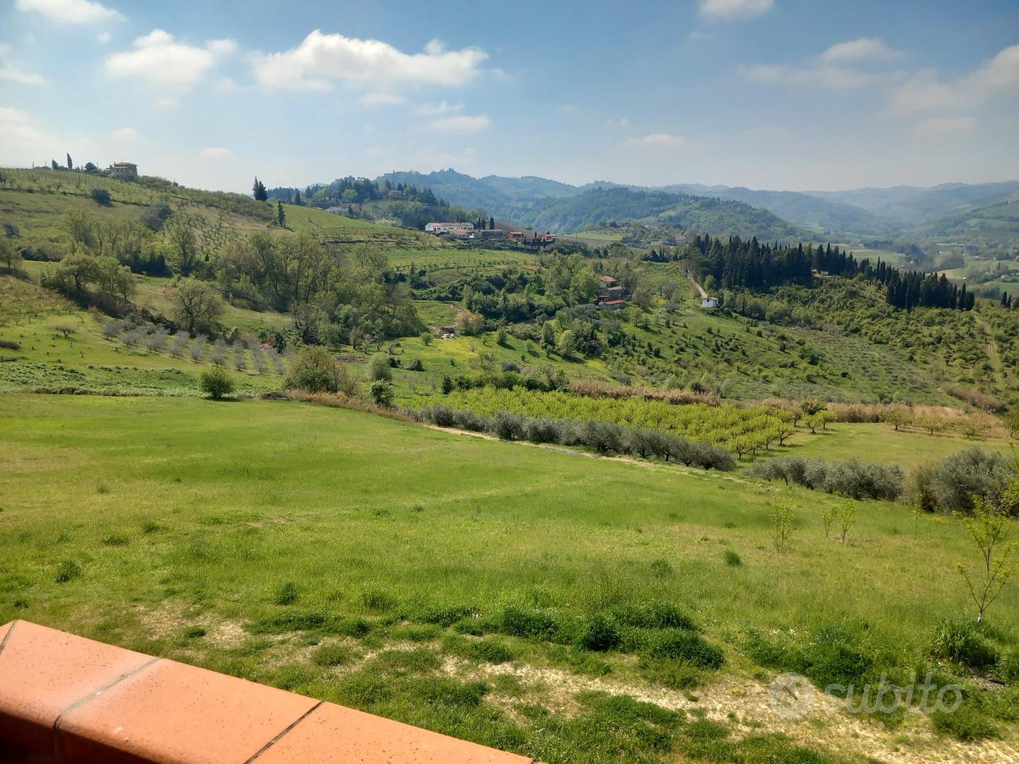 Terreno agricolo Montiano - Altro