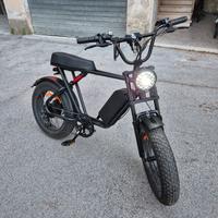 bici elettrica 1000w 48v 17.5ah
