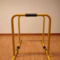 Parallele dip palestra 