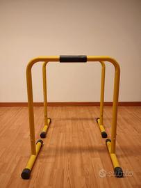 Parallele dip palestra 