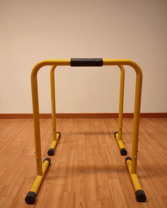 Parallele dip palestra 