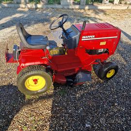 Tagliaerba rasaerba snapper