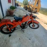 motom48