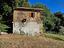 Immagine 15