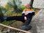 Immagine 2