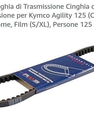 Cinghia trasmissione 