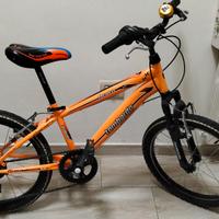 Bicicletta Lombardo 20