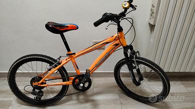 Bicicletta Lombardo 20