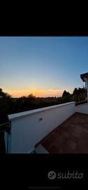Casa singola con giardino