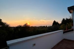 Casa singola con giardino