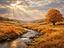 Immagine 10