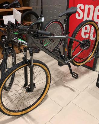 Bici 29” focus