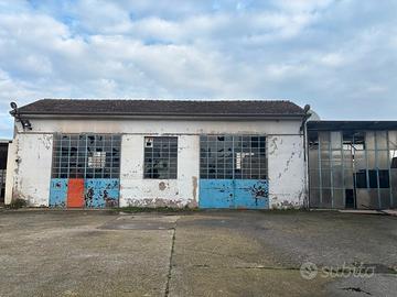 Zevio periferia: magazzino / laboratorio con corte