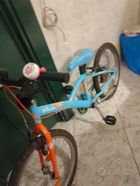 bicicletta 